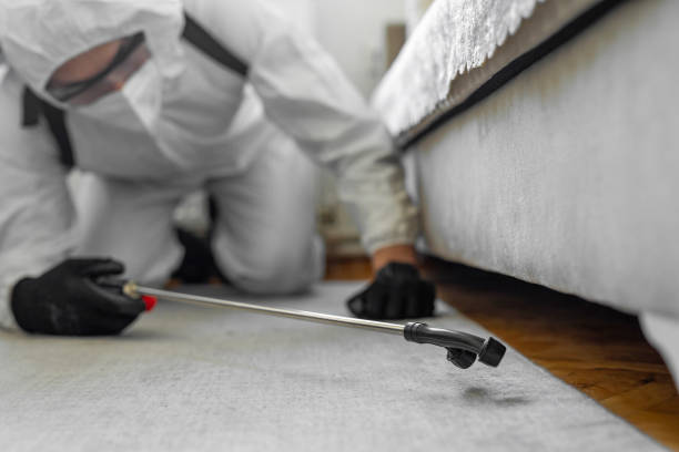 Professional Bed Bug Control technician working in Mont Belvieu, TX